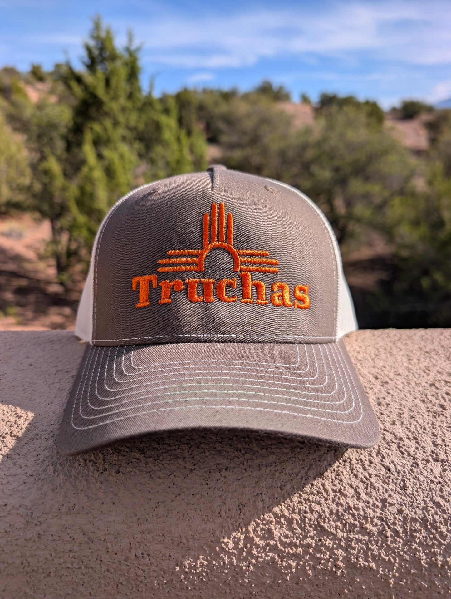 The Zia Trucker in Chocolate Lab