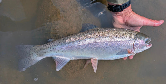 Santa Fe Area Fishing Report from Truchas Outdoors, 7/17/26