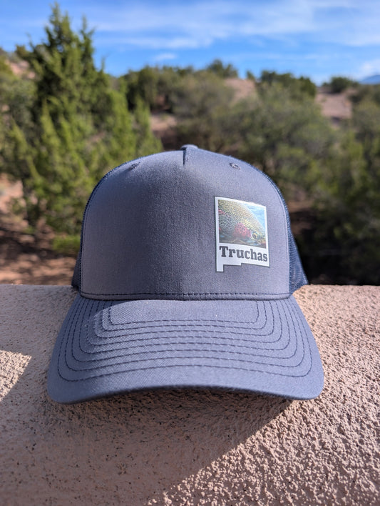 Fish New Mexico Trucker