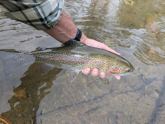 1 Person Full Day Guided Trip