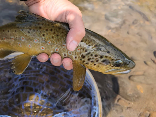 2 Person Full Day Guided Trip